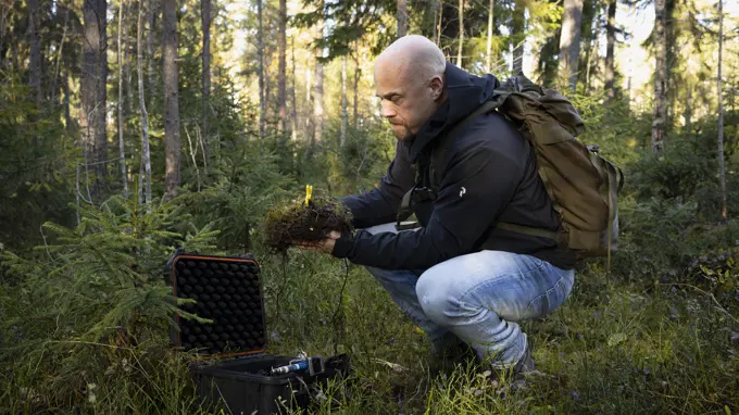 En friluftsklädd person sitter på huk i skogen och monterar teknisk utrustning i en klump mossa.