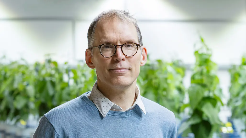 En person med glasögon står i ett växthus med gröna plantor.