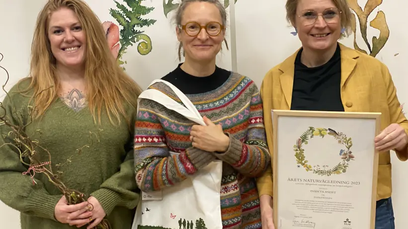 Tre vinnare av Årets naturvägledning