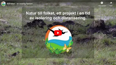 Projektet “Natur till folket, ett projekt i en tid av isolering och distansering”