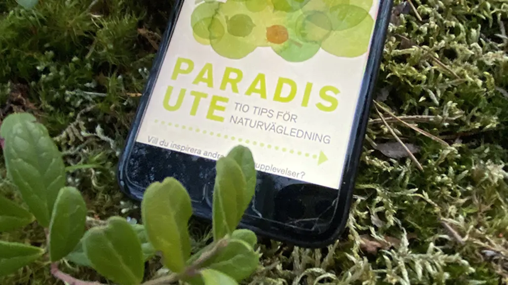 Mobiltelefon i gräset