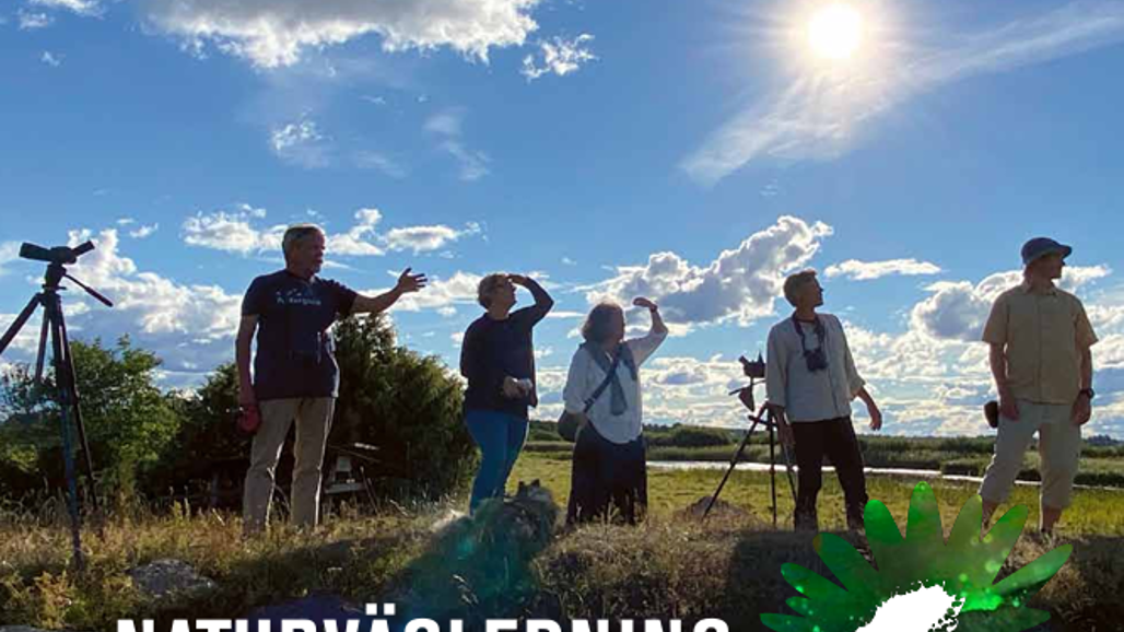 Framsida på broschyren om naturvägledning