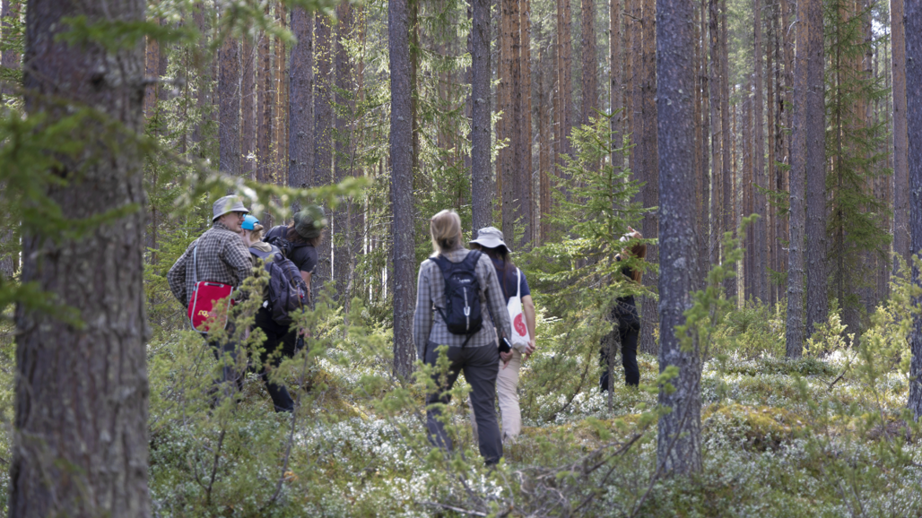 Doktorander i skog. Foto.