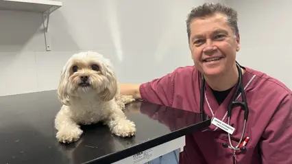 Veterinär Henrik Rönnberg bredvid en liten vit hund på ett bord