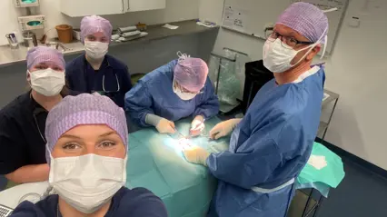 En grupp människor i operationskläder och med ansiktsmask arbetar vid ett operationsbord. Foto.