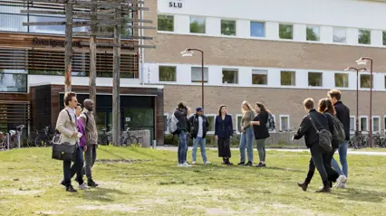 Students at the Faculty of Forest Sciences at SLU in different environments inside and outside the SLU building on the Umeå campus.